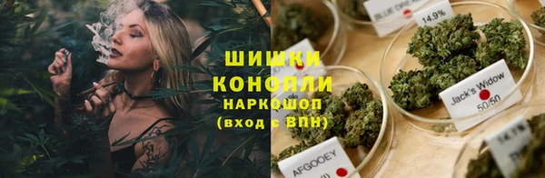Альфа ПВП Ростов