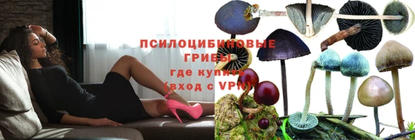 дживик Армянск