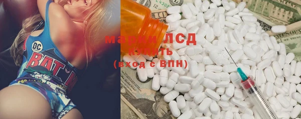 ешки Аркадак