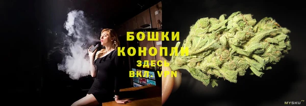 ешки Аркадак